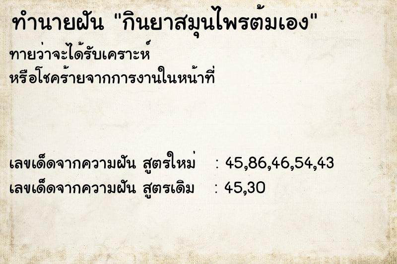 ทำนายฝันกินยาสมุนไพรต้มเอง ทำนายฝันทำนายฝันกินยาสมุนไพรต้มเอง