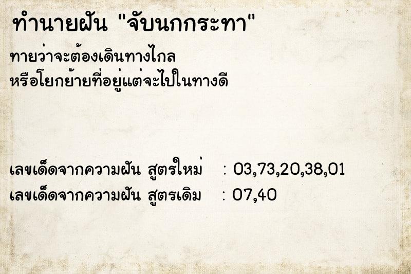 ทำนายฝันจับนกกระทา ทำนายฝันทำนายฝันจับนกกระทา