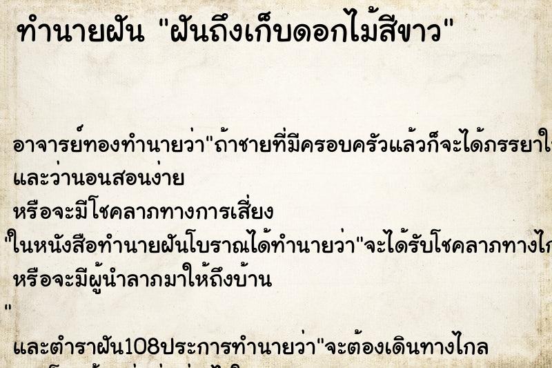 ทำนายฝัน ฝันถึงเก็บดอกไม้สีขาว ทำนายฝัน ฝันถึงเก็บดอกไม้สีขาว