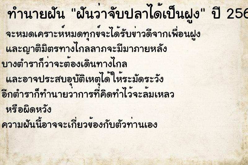 ทำนายฝันฝันว่าจับปลาได้เป็นฝูง ทำนายฝันทำนายฝันฝันว่าจับปลาได้เป็นฝูง