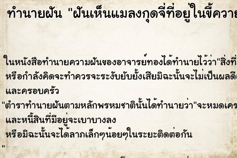 ทำนายฝันฝันเห็นแมลงกุดจี่ที่อยู่ในขี้ควาย ทำนายฝันทำนายฝันฝันเห็นแมลงกุดจี่ที่อยู่ในขี้ควาย