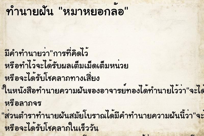 ทำนายฝัน หมาหยอกล้อ ทำนายฝัน หมาหยอกล้อ