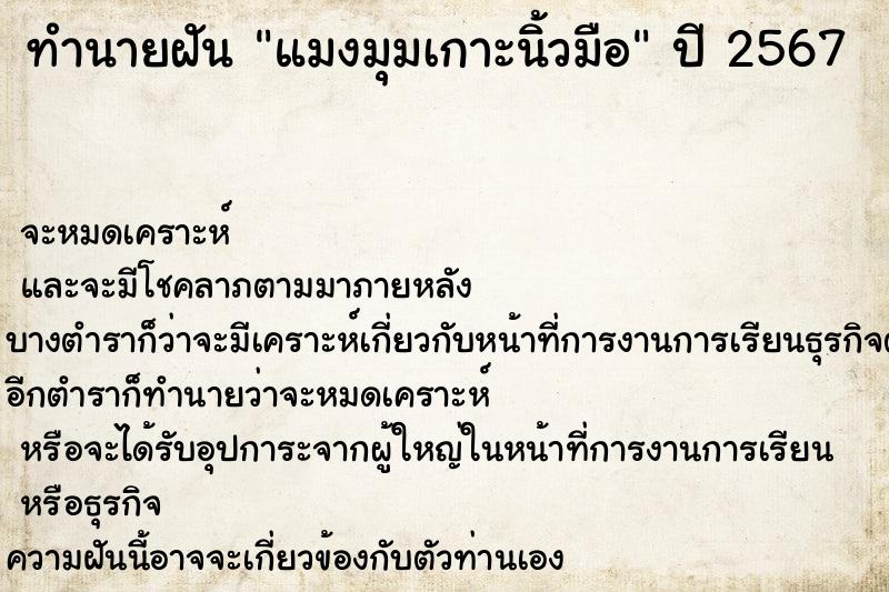 ทำนายฝันทำนายฝันแมงมุมเกาะนิ้วมือ