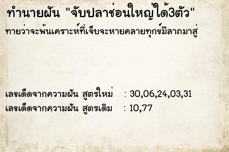 ทำนายฝันทำนายฝันจับปลาช่อนใหญ่ใด้3ตัว
