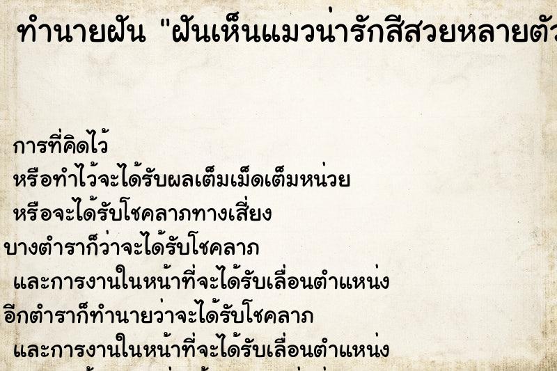 ทำนายฝันทำนายฝันฝันเห็นแมวน่ารักสีสวยหลายตัว