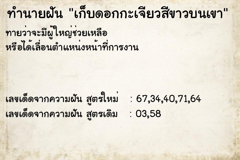 ทำนายฝันเก็บดอกกะเจียวสีขาวบนเขา ทำนายฝันทำนายฝันเก็บดอกกะเจียวสีขาวบนเขา