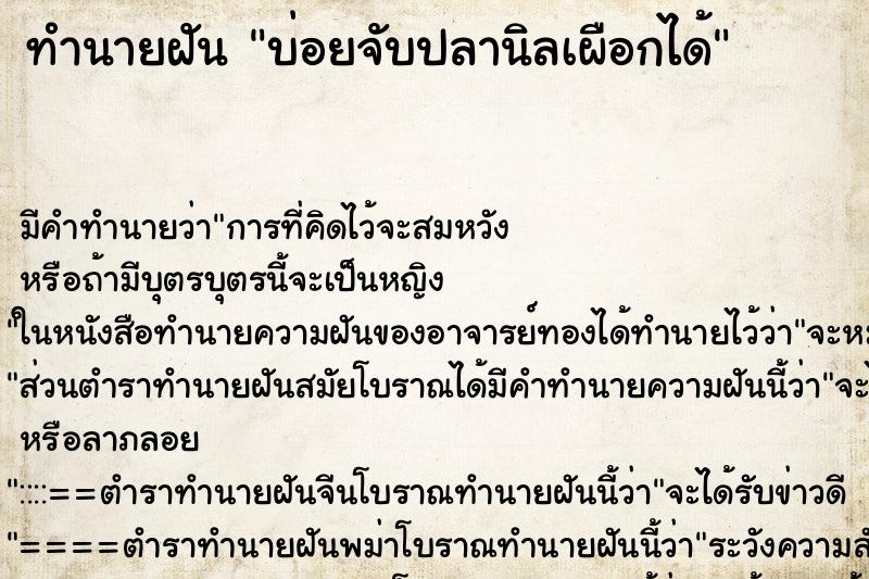ทำนายฝันบ่อยจับปลานิลเผือกได้ ทำนายฝันทำนายฝันบ่อยจับปลานิลเผือกได้