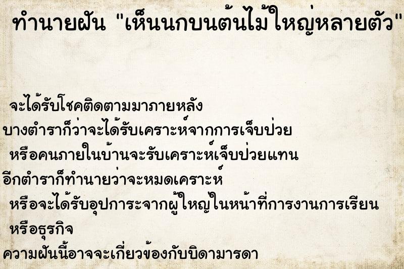 ทำนายฝัน เห็นนกบนต้นไม้ใหญ่หลายตัว ทำนายฝัน เห็นนกบนต้นไม้ใหญ่หลายตัว