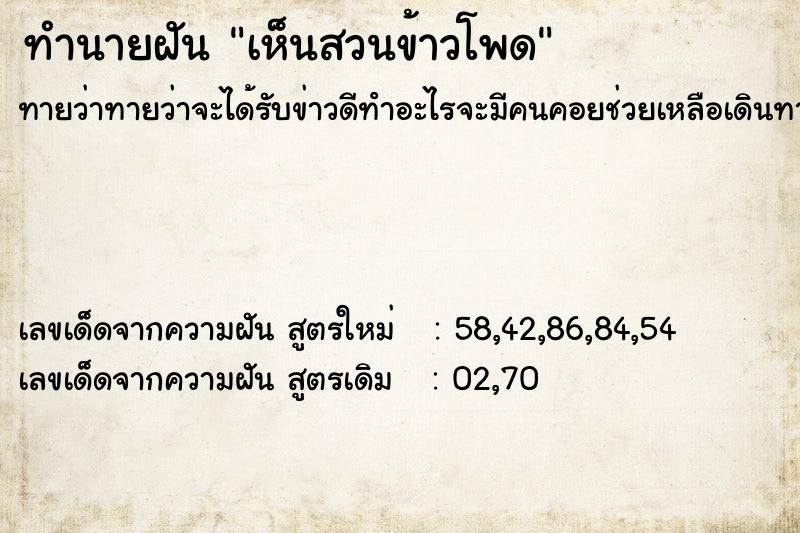 ทำนายฝัน เห็นสวนข้าวโพด ทำนายฝัน เห็นสวนข้าวโพด