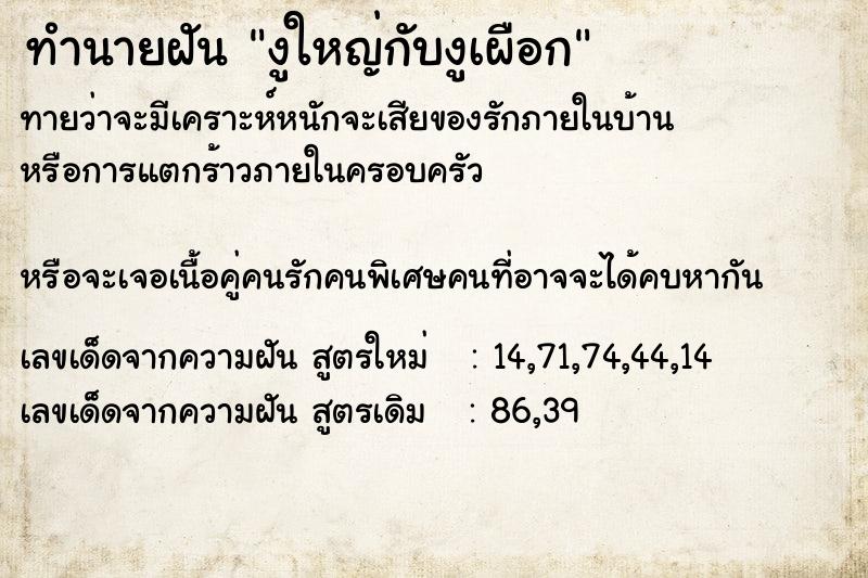 ทำนายฝันงูใหญ่กับงูเผือก ทำนายฝันทำนายฝันงูใหญ่กับงูเผือก