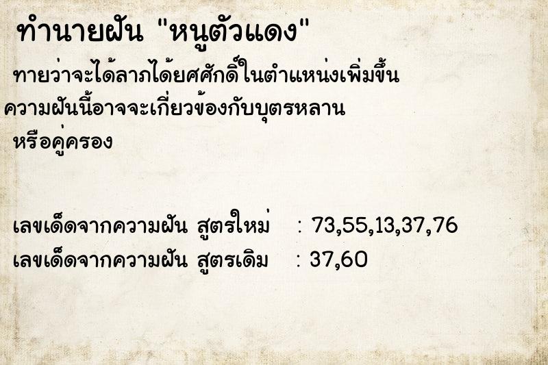 ทำนายฝัน หนูตัวแดง ทำนายฝัน หนูตัวแดง