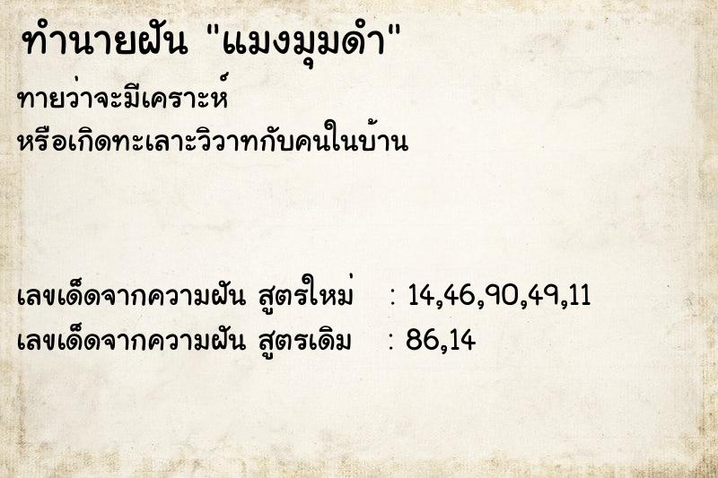 ทำนายฝันทำนายฝันแมงมุมดำ