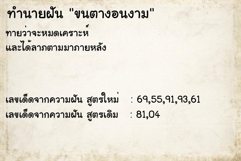 ทำนายฝัน ขนตางอนงาม ทำนายฝัน ขนตางอนงาม