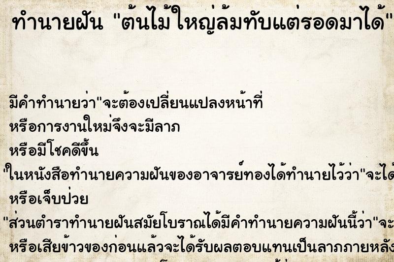 ทำนายฝัน ต้นไม้ใหญ่ล้มทับแต่รอดมาได้ ทำนายฝัน ต้นไม้ใหญ่ล้มทับแต่รอดมาได้