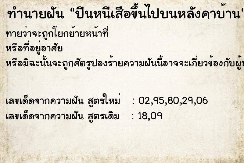 ทำนายฝันทำนายฝันปีนหนีเสือขึ้นไปบนหลังคาบ้าน