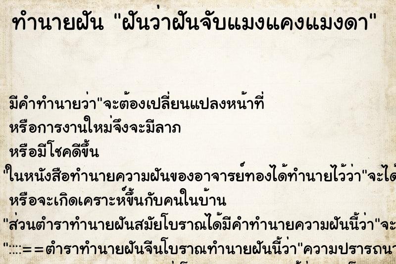 ทำนายฝัน ฝันว่าฝันจับแมงแคงแมงดา ทำนายฝัน ฝันว่าฝันจับแมงแคงแมงดา