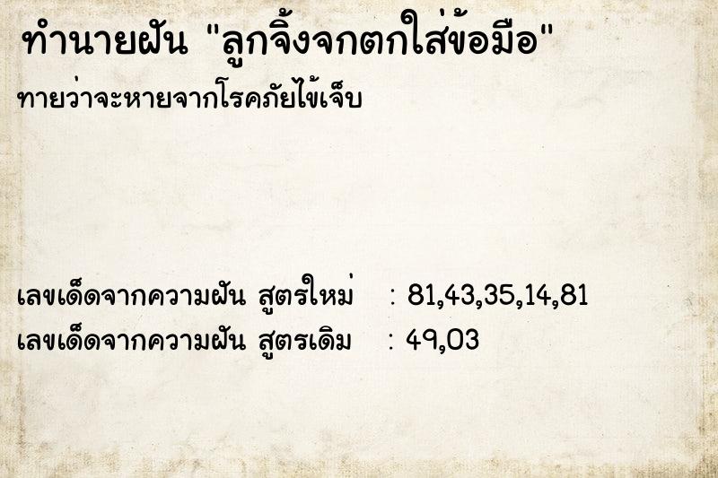 ทำนายฝันทำนายฝันลูกจิ้งจกตกใส่ข้อมือ