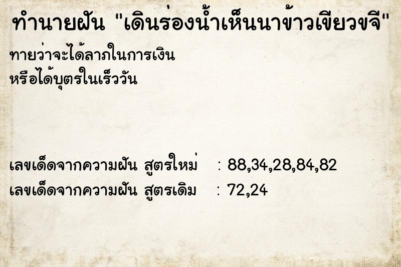 ทำนายฝันทำนายฝันเดินร่องน้ำเห็นนาข้าวเขียวขจี