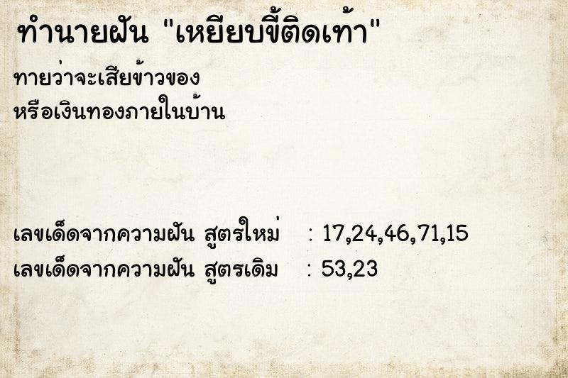 ทำนายฝันเหยียบขี้ติดเท้า ทำนายฝันทำนายฝันเหยียบขี้ติดเท้า