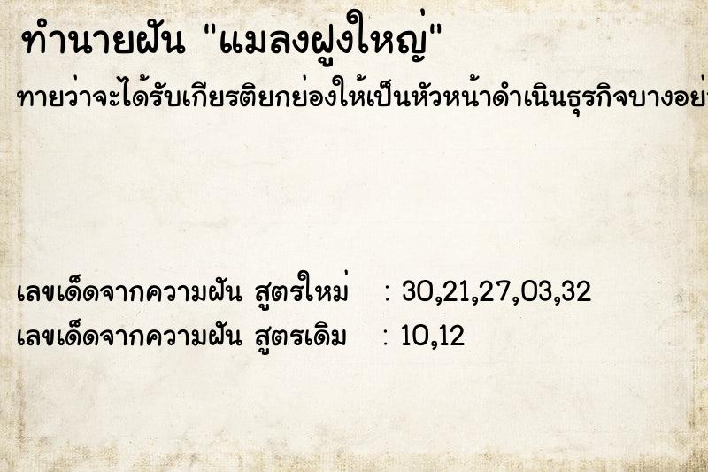 ทำนายฝันทำนายฝันแมลงฝูงใหญ่