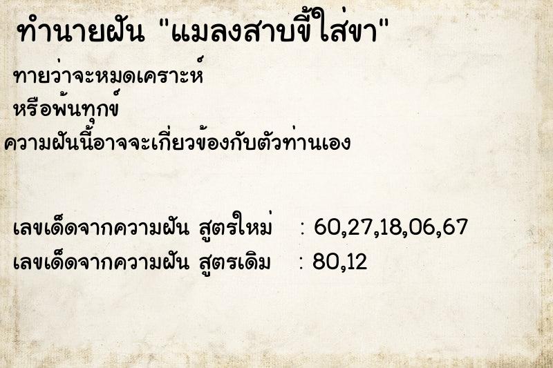 ทำนายฝันทำนายฝันแมลงสาบขี้ใส่ขา