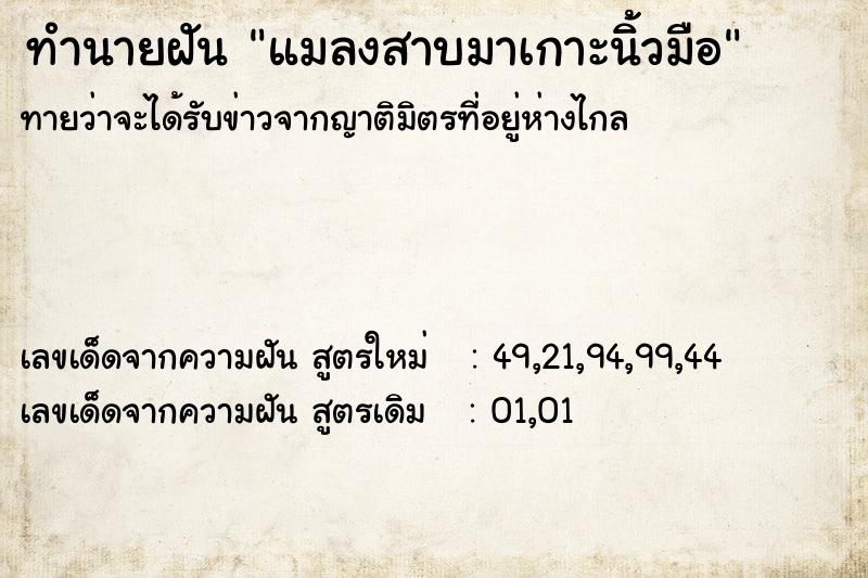 ทำนายฝันทำนายฝันแมลงสาบมาเกาะนิ้วมือ
