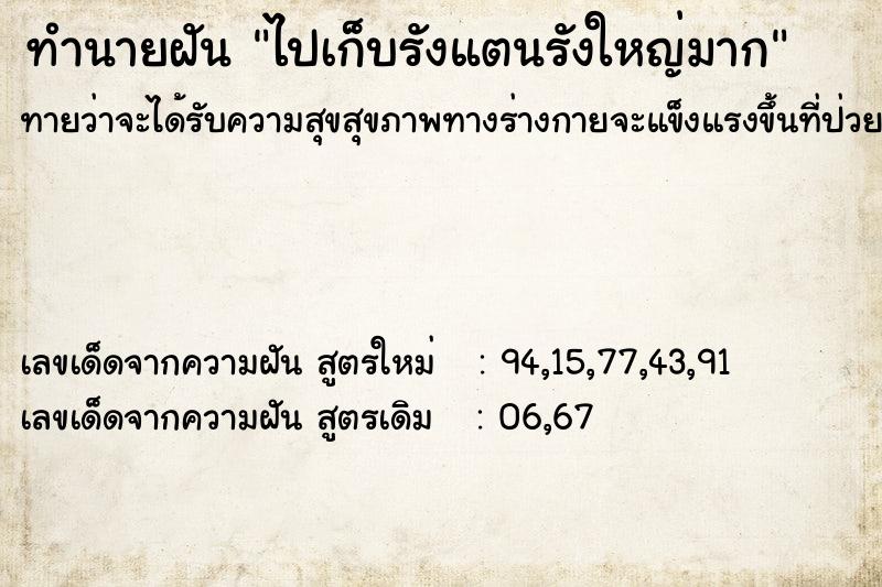 ทำนายฝันทำนายฝันไปเก็บรังแตนรังใหญ่มาก