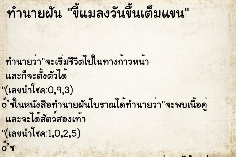 ทำนายฝันขี้แมลงวันขึ้นเต็มแขน ทำนายฝันทำนายฝันขี้แมลงวันขึ้นเต็มแขน