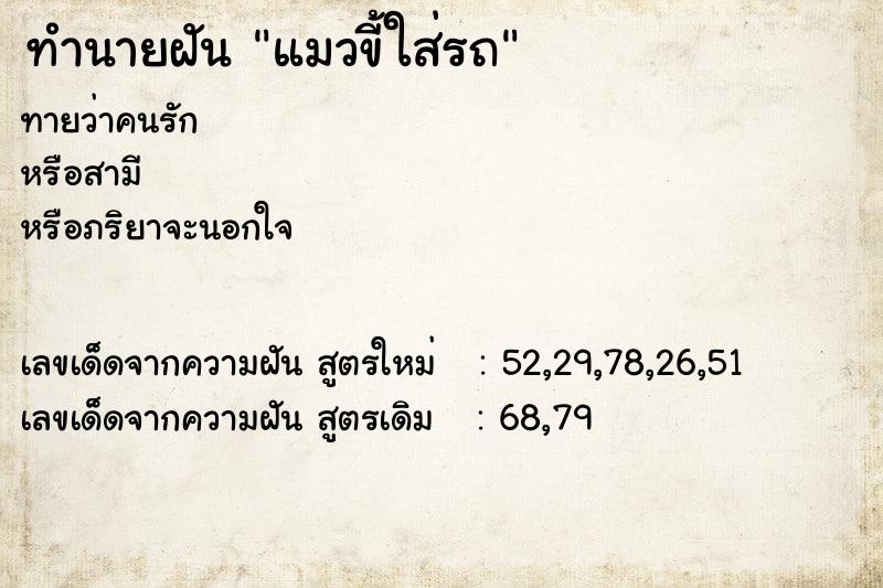 ทำนายฝัน แมวขี้ใส่รถ ทำนายฝัน แมวขี้ใส่รถ