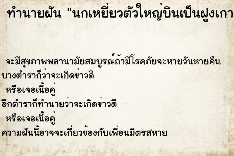 ทำนายฝัน นกเหยี่ยวตัวใหญ่บินเป็นฝูงเกาะบนหลังคาบ้าน ทำนายฝัน นกเหยี่ยวตัวใหญ่บินเป็นฝูงเกาะบนหลังคาบ้าน