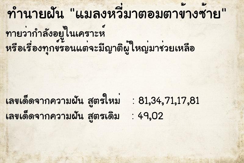 ทำนายฝันทำนายฝันแมลงหวี่มาตอมตาข้างซ้าย