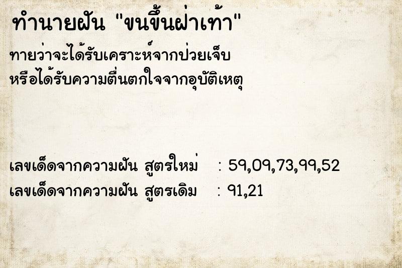 ทำนายฝันขนขึ้นฝ่าเท้า ทำนายฝันทำนายฝันขนขึ้นฝ่าเท้า