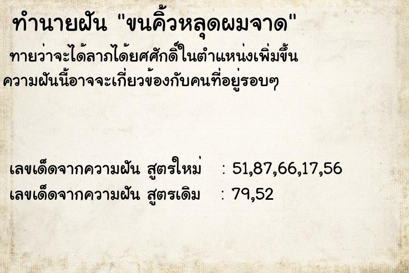 ทำนายฝันขนคิ้วหลุดผมจาด ทำนายฝันทำนายฝันขนคิ้วหลุดผมจาด