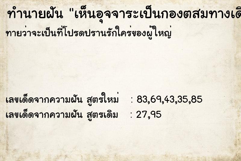ทำนายฝันทำนายฝันเห็นอุจจาระเป็นกองตสมทางเดิน