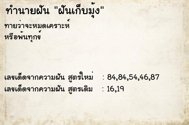 ทำนายฝันฝันเก็บมุ้ง ทำนายฝันทำนายฝันฝันเก็บมุ้ง