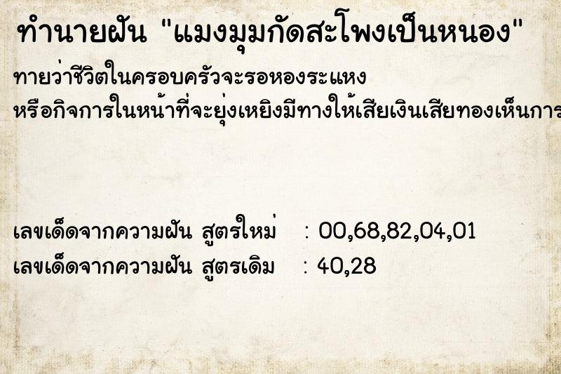 ทำนายฝัน แมงมุมกัดสะโพงเป็นหนอง ทำนายฝัน แมงมุมกัดสะโพงเป็นหนอง