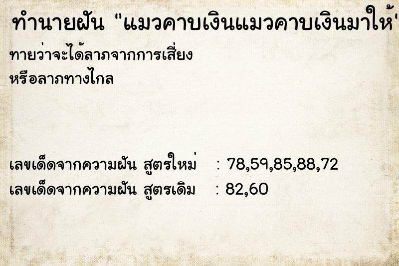 ทำนายฝันแมวคาบเงินแมวคาบเงินมาให้ ทำนายฝันทำนายฝันแมวคาบเงินแมวคาบเงินมาให้