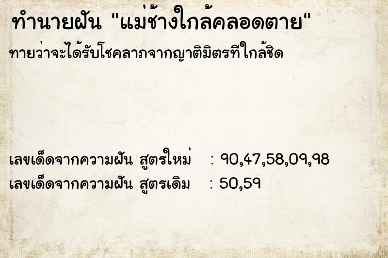 ทำนายฝันแม่ช้างใกล้คลอดตาย ทำนายฝันทำนายฝันแม่ช้างใกล้คลอดตาย