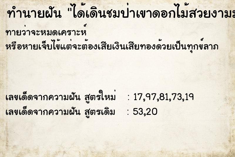 ทำนายฝันได้เดินชมป่าเขาดอกไม้สวยงามมาก ทำนายฝันทำนายฝันได้เดินชมป่าเขาดอกไม้สวยงามมาก