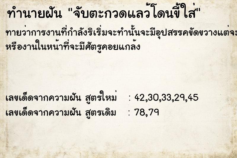 ทำนายฝันทำนายฝันจับตะกวดแลว้โดนขี้ใส่
