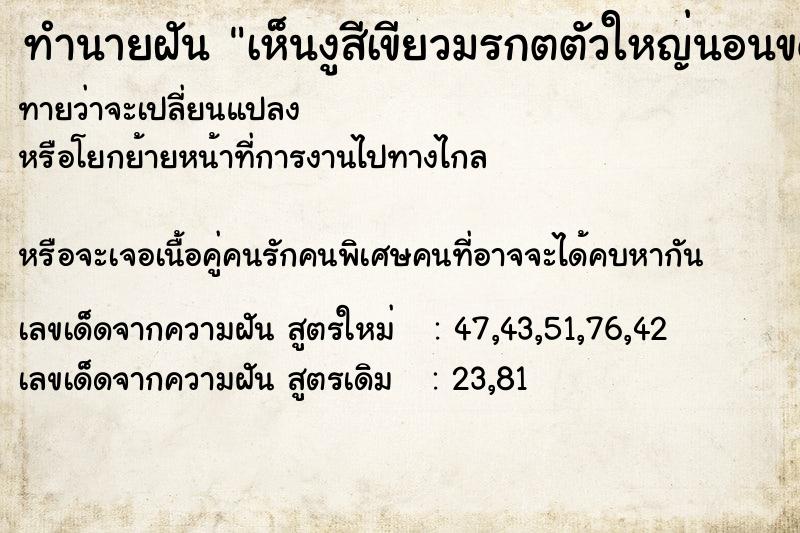 ทำนายฝันทำนายฝันเห็นงูสีเขียวมรกตตัวใหญ่นอนขดอยู่ข้าง