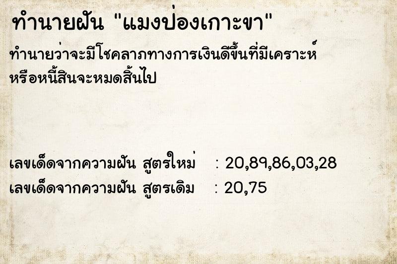 ทำนายฝัน แมงป่องเกาะขา ทำนายฝัน แมงป่องเกาะขา