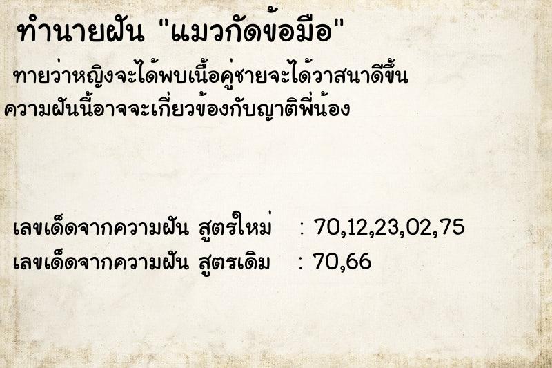ทำนายฝันทำนายฝันแมวกัดข้อมือ