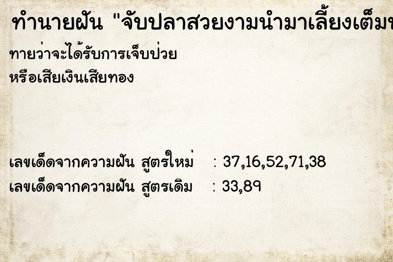 ทำนายฝันจับปลาสวยงามนำมาเลี้ยงเต็มบ่อ ทำนายฝันทำนายฝันจับปลาสวยงามนำมาเลี้ยงเต็มบ่อ