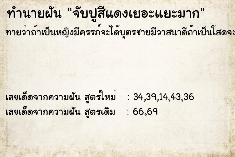 ทำนายฝันทำนายฝันจับปูสีแดงเยอะแยะมาก