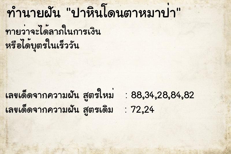 ทำนายฝันปาหินโดนตาหมาป่า ทำนายฝันทำนายฝันปาหินโดนตาหมาป่า