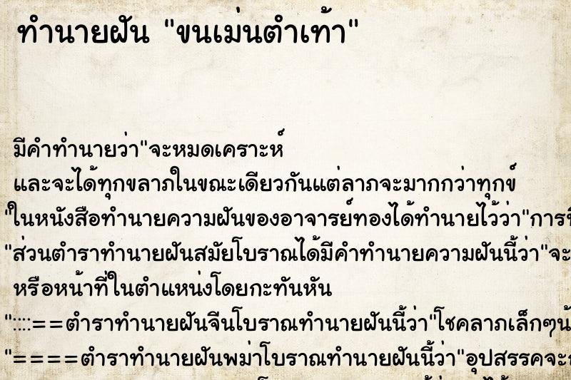 ทำนายฝัน ขนเม่นตำเท้า ทำนายฝัน ขนเม่นตำเท้า