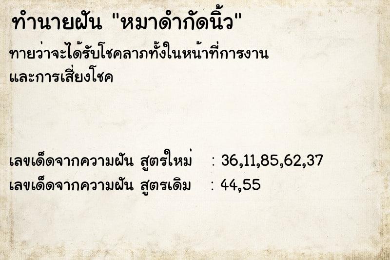 ทำนายฝันหมาดำกัดนิ้ว ทำนายฝันทำนายฝันหมาดำกัดนิ้ว