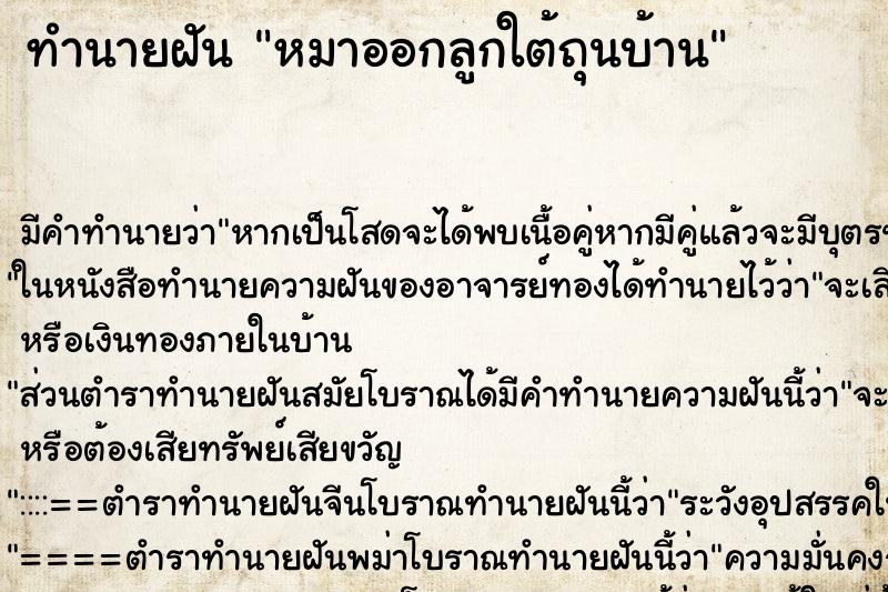 ทำนายฝัน หมาออกลูกใต้ถุนบ้าน ทำนายฝัน หมาออกลูกใต้ถุนบ้าน