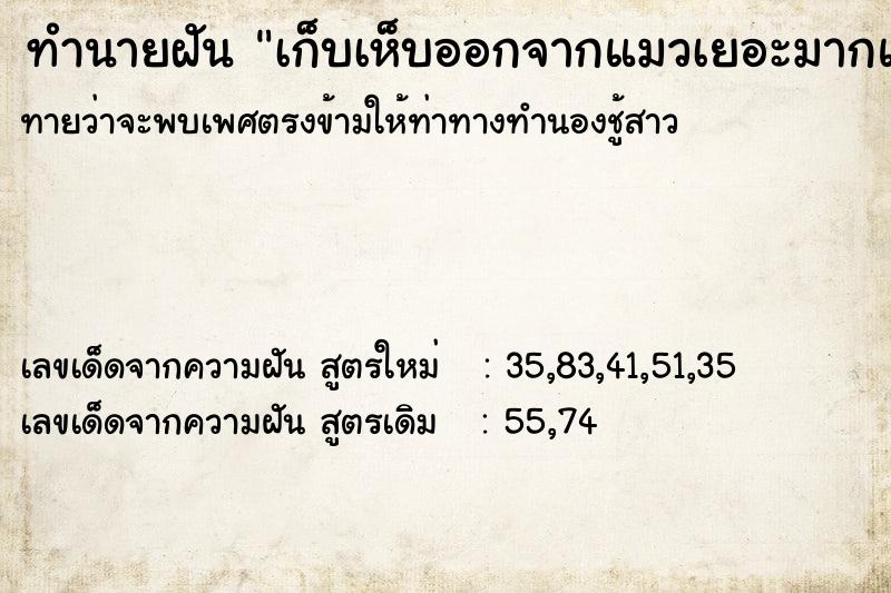 ทำนายฝันทำนายฝันเก็บเห็บออกจากแมวเยอะมากแล้วบีบเห็บ